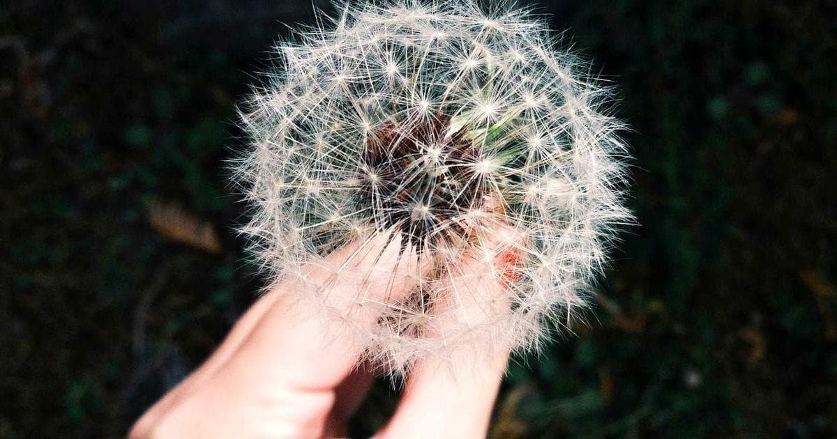 Cover Image for How to Convert PDF to Excel Spreadsheet (Keep Data)