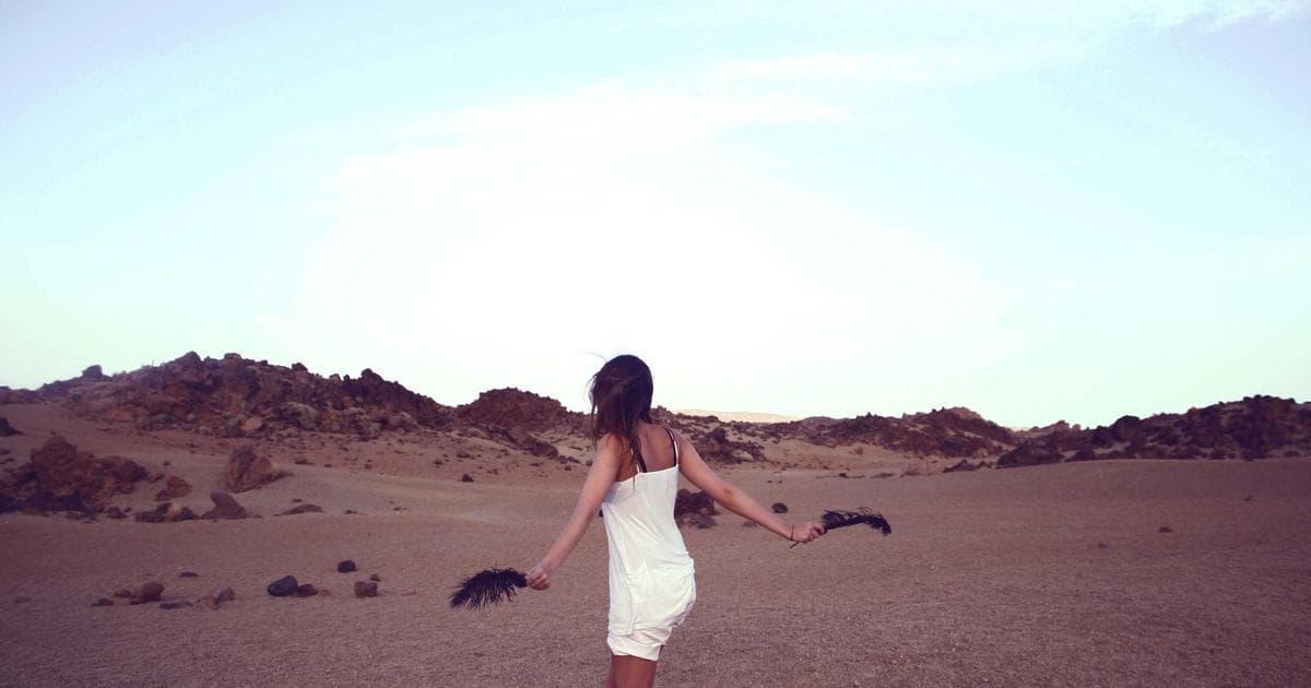 Cover Image for How to Add Page Numbers to a PDF