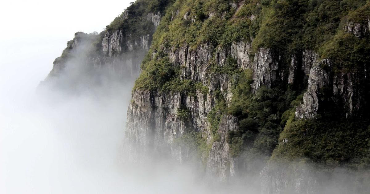 Cover Image for How to Create Fillable PDF Forms from Scratch