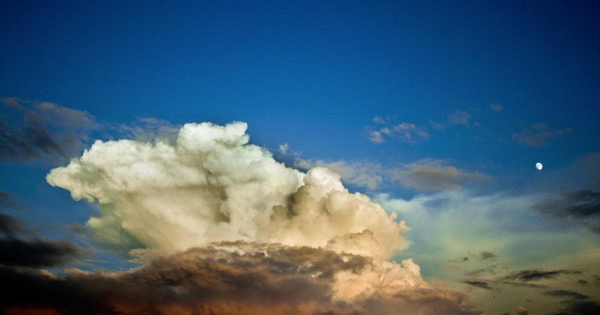 Cover Image for Google Docs vs PDF Editor: Which Do You Actually Need?