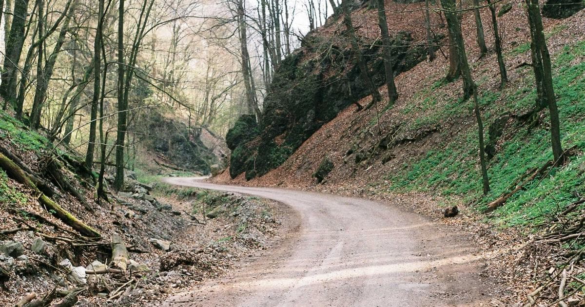 Cover Image for PDF vs DOCX: When to Use Which Format