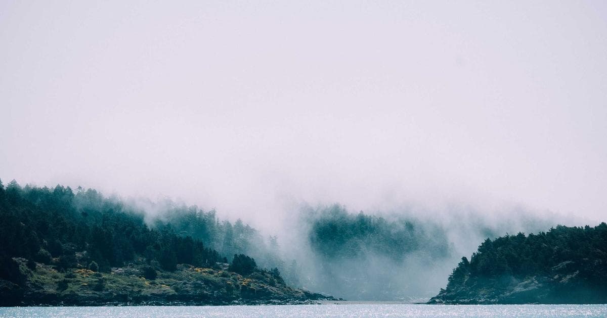 Cover Image for How to Split a PDF Into Separate Pages