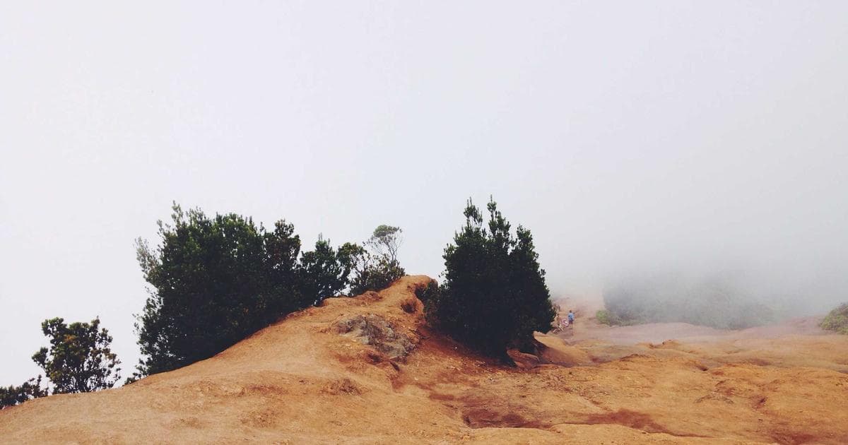 Cover Image for How to Add a Watermark to PDF Documents